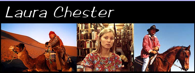 Laura Chester has published many volumes of poetry, prose and non-fiction. Most recently, Holy Personal, looking for small private places of worship, was made available from Indiana University Press, and a selection of prose-poems, Sparks, was published by The Figures. Both books include extensive photographs by Donna DeMari.